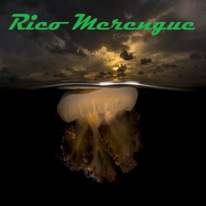 Listen to Rosa Blanca song with lyrics from La Gran Manzana
