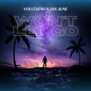 อัลบัม Won't Let Go (feat. Jax June) ศิลปิน VOLLÉSTAD