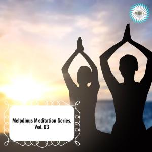 Album Melodious Meditation Series, Vol. 03 from Various