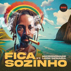 Album Fica Sozinho from Micronómade