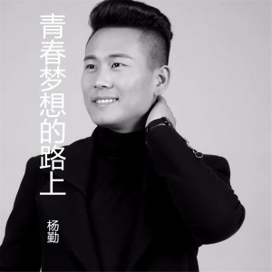 Listen to 青春梦想的路上 (伴奏) song with lyrics from 杨勤