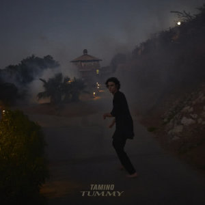 ดาวน์โหลดและฟังเพลง Tummy พร้อมเนื้อเพลงจาก Tamino