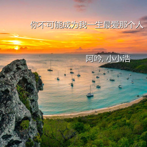 阿吟的专辑你不可能成为我一生最爱那个人