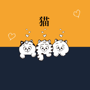 收聽邓天羽的貓歌詞歌曲