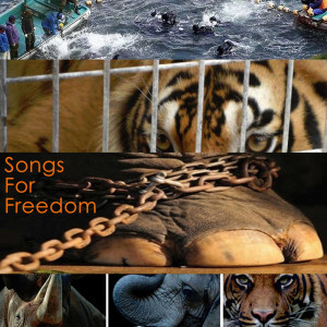 Album Songs For Freedom (Explicit) from 