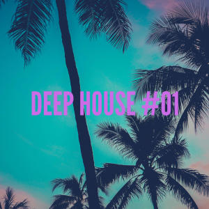 Kyri的专辑Deep House #01