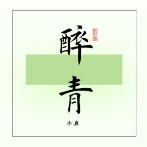 ดาวน์โหลดและฟังเพลง 醉青 (伴奏) พร้อมเนื้อเพลงจาก 小真