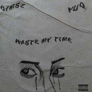 Album Waste My Time (Explicit) from D1MSZ