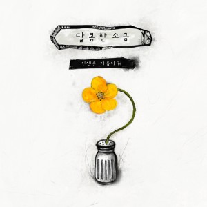 Album 인생은 아름다워 from 달콤한 소금