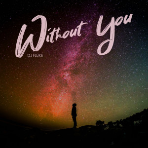 收聽DJ Fluke的Without You歌詞歌曲
