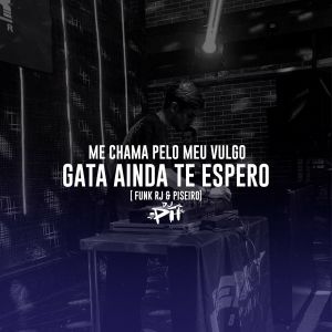 收聽DJ PH DE VILA VELHA的Me Chama Pelo Meu Vulgo, Gata Ainda Te Espero [ Funk RJ & Piseiro] (Explicit)歌詞歌曲