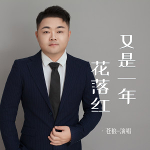 蒼狼的專輯又是一年花落紅