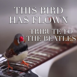 Wildlife的專輯This Bird Has Flown Tribute To The Beatles