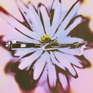 ดาวน์โหลดและฟังเพลง Daisy พร้อมเนื้อเพลงจาก Player Dave