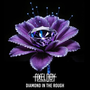 Axel Boy的專輯Diamond in the Rough
