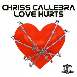 Dengarkan Love Hurts (Ferdas Digital remix) lagu dari Chriss Callebra dengan lirik