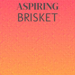 Various的专辑Aspiring Brisket