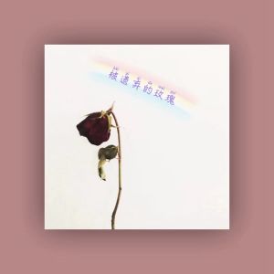 อัลบัม 被遺棄的玫瑰 ศิลปิน 小白羊HUSH