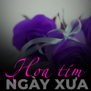 收聽Ngọc Tân的Hà Nội mùa lá bay歌詞歌曲