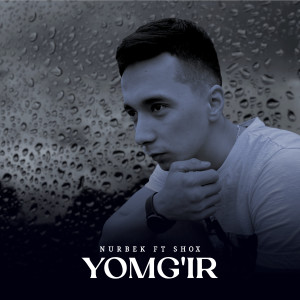 Album Yomg'ir (feat. Shox) from Nurbek