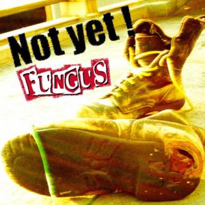 收聽Fungus的Dally歌詞歌曲