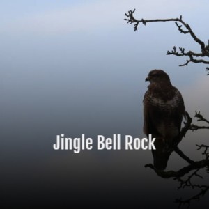 Jingle Bell Rock dari Various