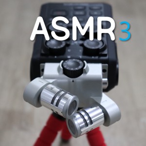 Dengarkan ASMR (Rain sound + Mountain bird forest Sound) lagu dari 팅글 (Tingle) dengan lirik