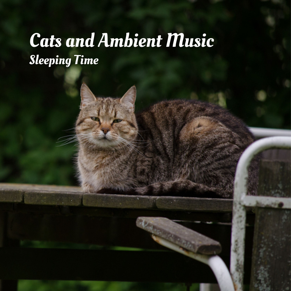 Ambient Music for Studying, Concentration and Memory