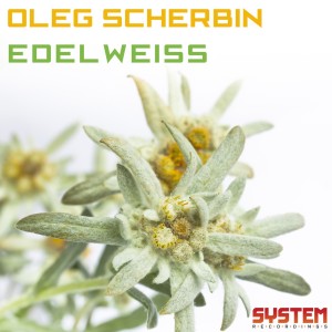 收聽Oleg Scherbin的Wi-Fi歌詞歌曲