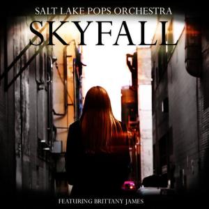 ดาวน์โหลดและฟังเพลง Skyfall พร้อมเนื้อเพลงจาก Nathaniel Drew