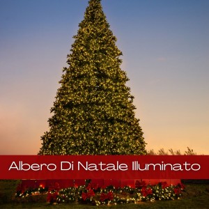 Various  Artists的專輯Albero Di Natale Illuminato