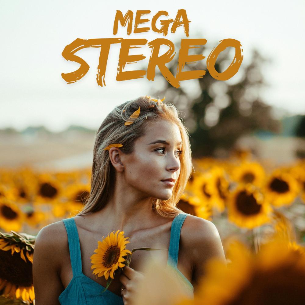 mega stereo (Explicit)