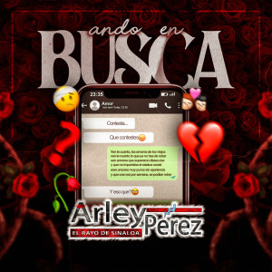 Listen to Ando En Busca song with lyrics from Arley Pérez
