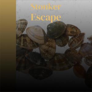 Album Stonker Escape from Various