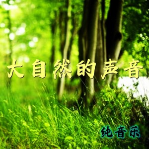 Dengarkan lagu 大自然的声音 (純音樂) nyanyian DJHY dengan lirik