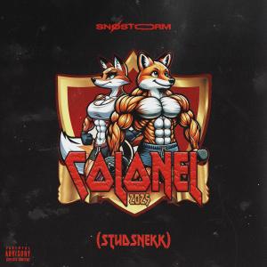 Cølonel的專輯Colonel 2025 (Studsnekk) [Explicit]