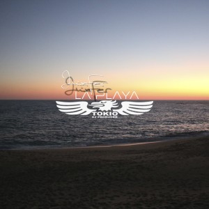 ดาวน์โหลดและฟังเพลง La Playa พร้อมเนื้อเพลงจาก DJ Tokio