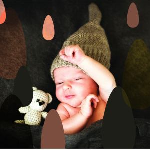 Listen to Five Little Ducks song with lyrics from Vuggeviser