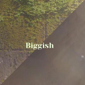 Various的专辑Biggish