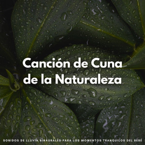 Album Canción De Cuna De La Naturaleza: Sonidos De Lluvia Binaurales Para Los Momentos Tranquilos Del Bebé oleh Chico binaural