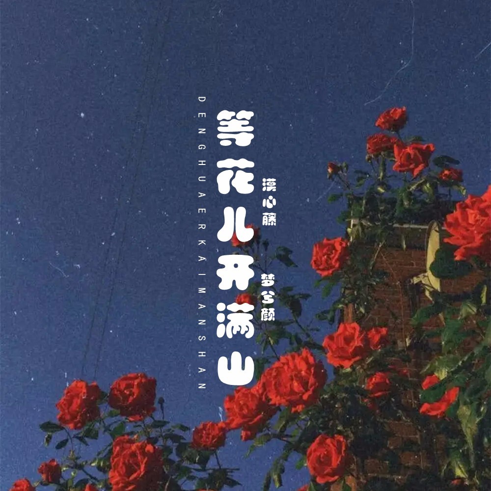 等花儿开满山 (完整版)