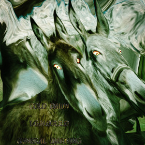 Listen to General Warning (Explicit) song with lyrics from Cold Dawn