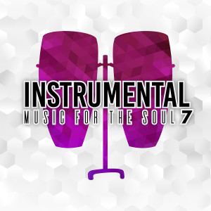 Album Instrumental Music for the Soul-7 from Various