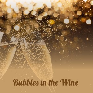 Album Bubbles in the Wine from Various