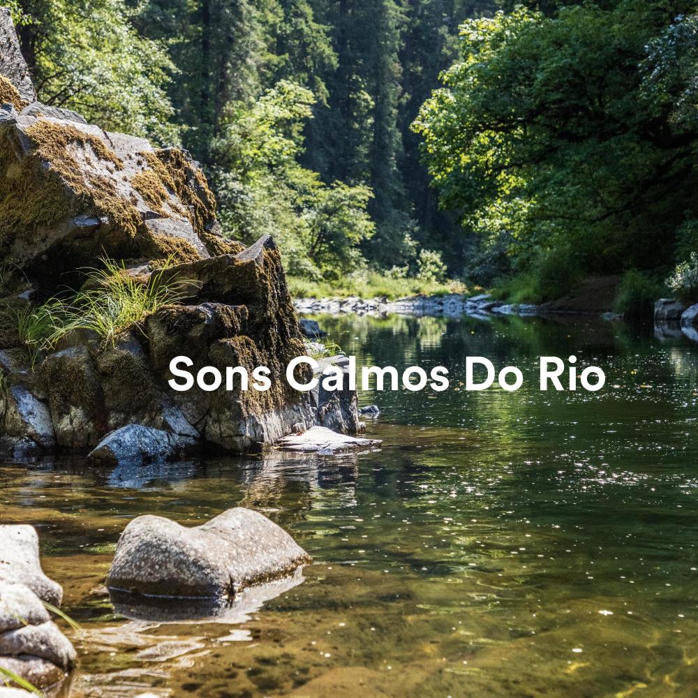 Sons De Água Silenciosa