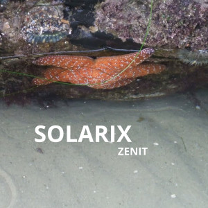 收听Zenit的Solarix歌词歌曲