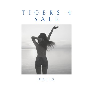 ดาวน์โหลดและฟังเพลง Hello พร้อมเนื้อเพลงจาก Tigers 4 Sale