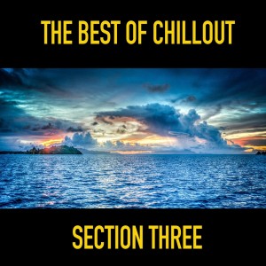 群星的专辑The Best of Chillout ( Section Three )