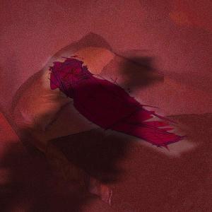 Ben Wolfe的專輯Penance. (Explicit)