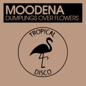 Listen to Dumplings Over Flowers song with lyrics from Moodena